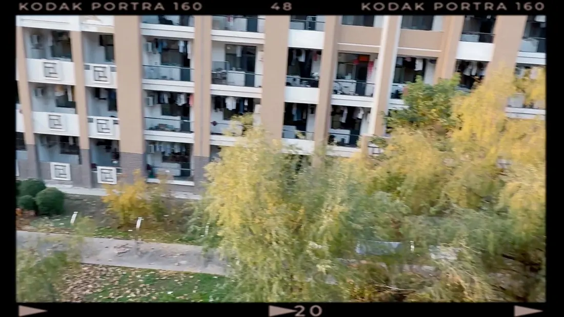 KODAK PORTRA 160
的校园 细节 2